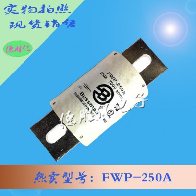 bussmann快速熔断器 FWP-250A供应
