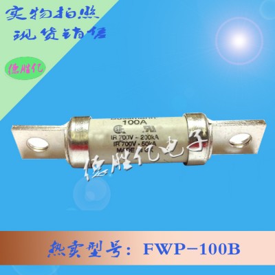 美国BUSSMANN快速熔断器 FWP-100B供应