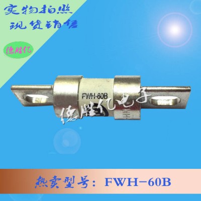 美国巴斯曼快速熔断器 FWP-60B从优