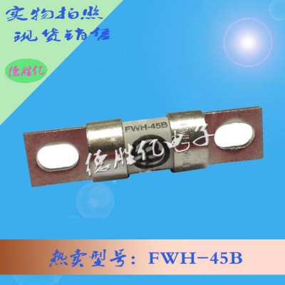 巴斯曼熔断器 FWH-45B 全新