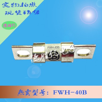 美国巴斯曼快速熔断器FWH-40B 价优