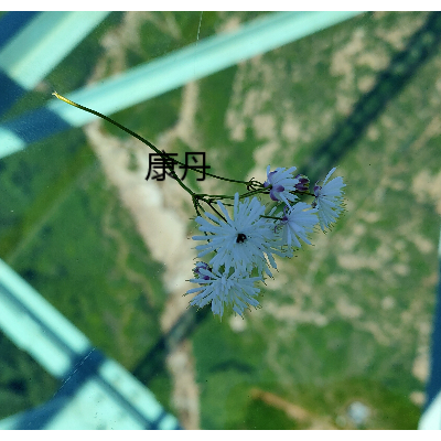 山东新设立资产管理公司需要多少费用需要几天