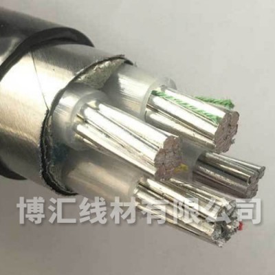 物理发泡聚乙烯绝缘接入网电缆 河北博汇