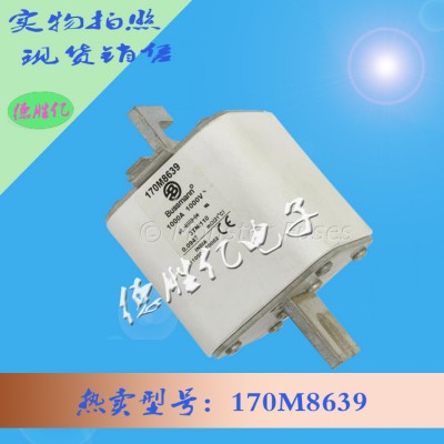 美国巴斯曼快速熔断器 170M8639价优
