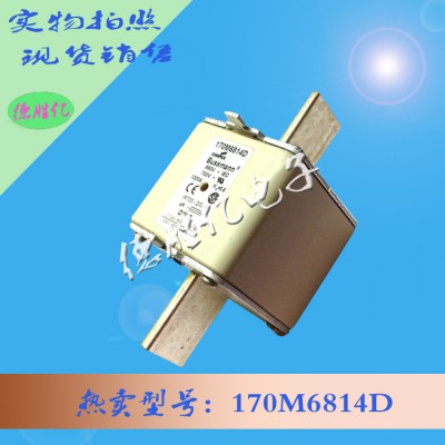 美国巴斯曼快速熔断器 170M6814D 全新