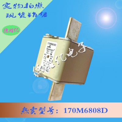 美国巴斯曼快速熔断器 170M6808D供应