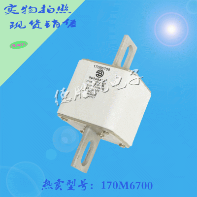 bussmann快速熔断器 170M6700供应