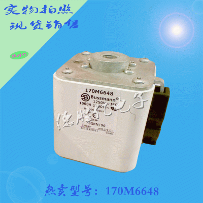 美国巴斯曼快速熔断器 170M6648可询