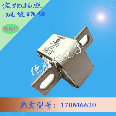 伊顿巴斯曼快速熔断器 170M6620全新