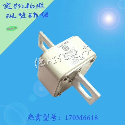 美国巴斯曼快速熔断器 170M6618直售