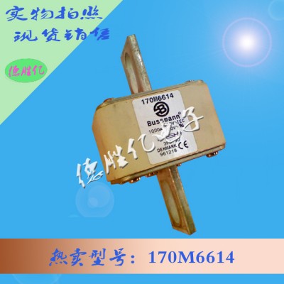 美国bussmann快速熔断器 170M6614价优