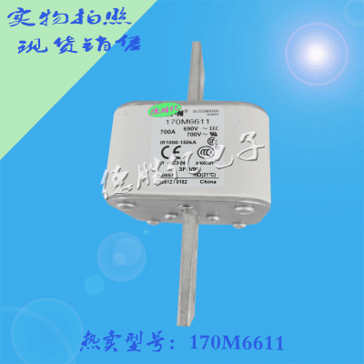 美国巴斯曼快速熔断器 170M6611可询