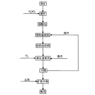 巩义铂思特用浸出法从难选硫化金矿中回收金，选金尾矿生产工艺