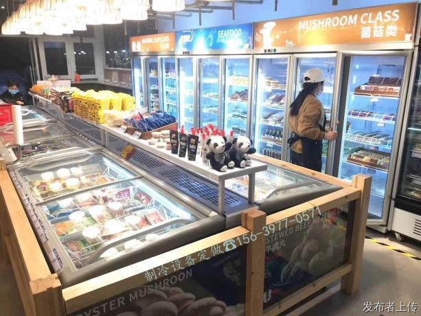 新郑超市玻璃门冷冻冰柜生产厂家