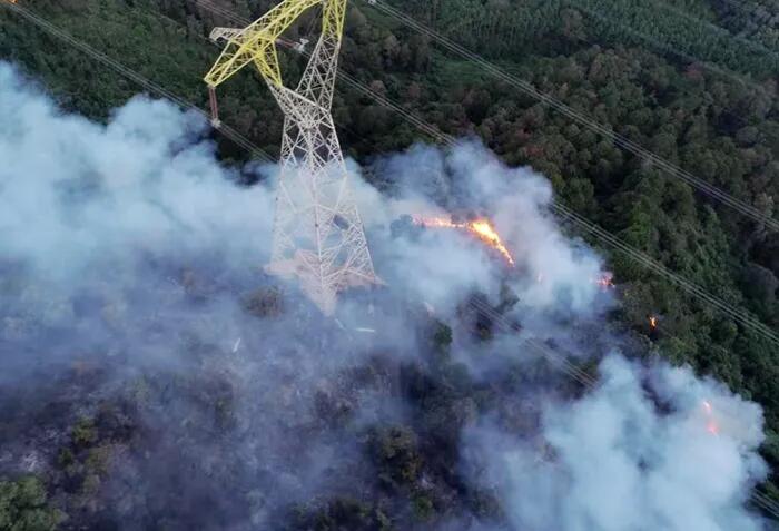 架空输电线路走廊防山火综合监测装置供应商