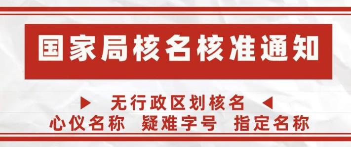 注册办理国家局指定公司字号名称