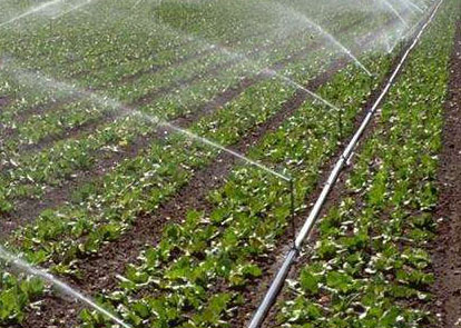 生产销售:节水灌溉设备、微喷管、滴灌管