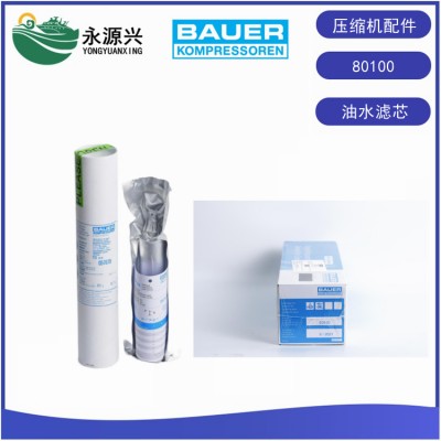 德国进口宝华BAUER滤芯宝华80100油水过滤芯P31