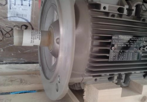 德国Robert Birkenbeul电机