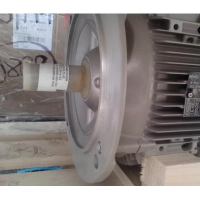 德国Robert Birkenbeul电机